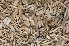 biomass boilers Tremedda